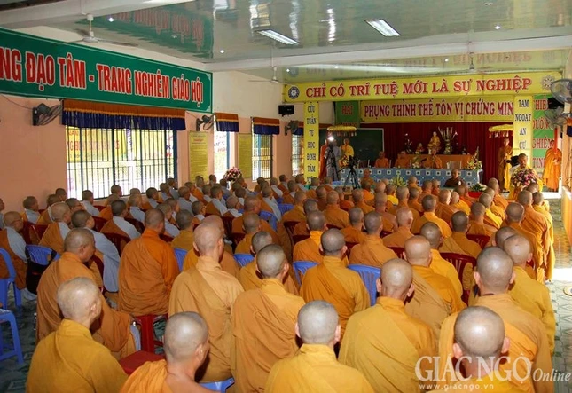 truong ha q7 (6).jpg