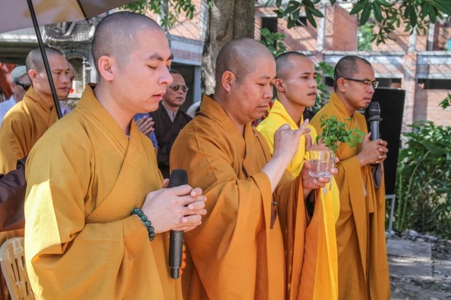 IMG_0252.1 (Small).jpg