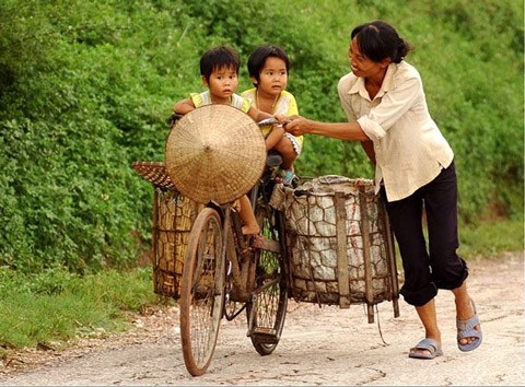 tinh me.jpg