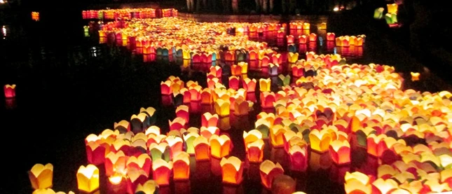 bao hieu1.jpg