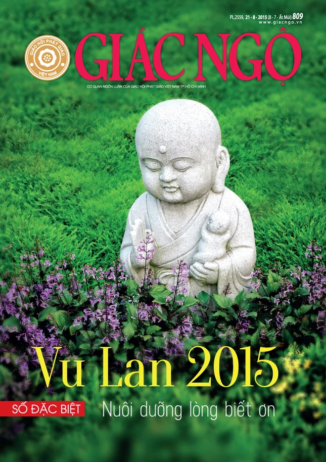 Lá thư mùa Hiếu ảnh 2 BIA 1.jpg