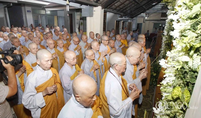 AAAA ANH (13).jpg