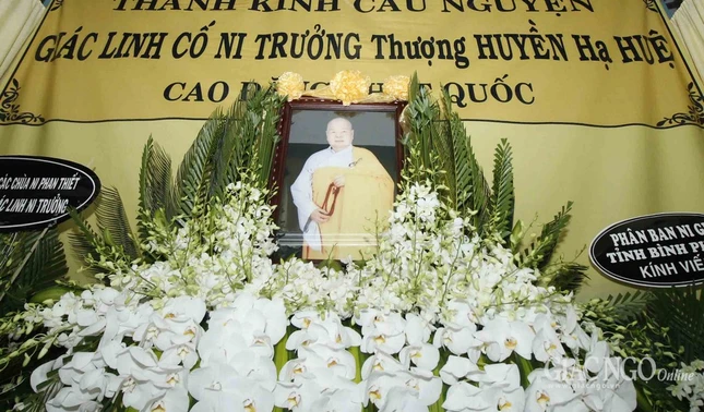 AAAA ANH (15).jpg