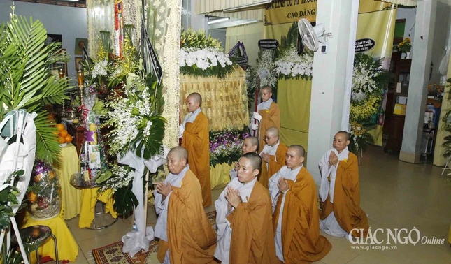 AAAA ANH (9).jpg