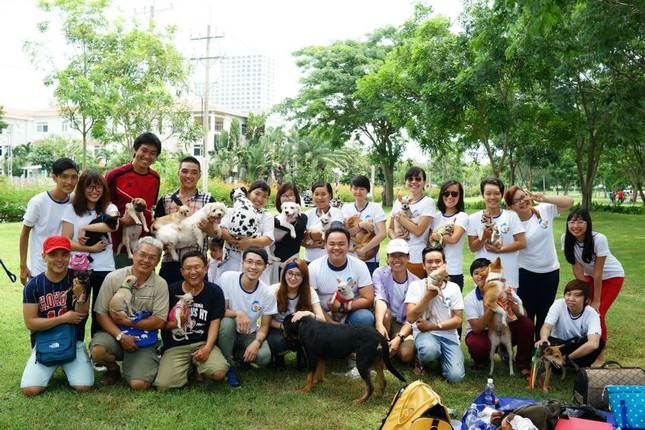 Mái ấm cho động vật bị bỏ rơi ảnh 1 1gd.jpg