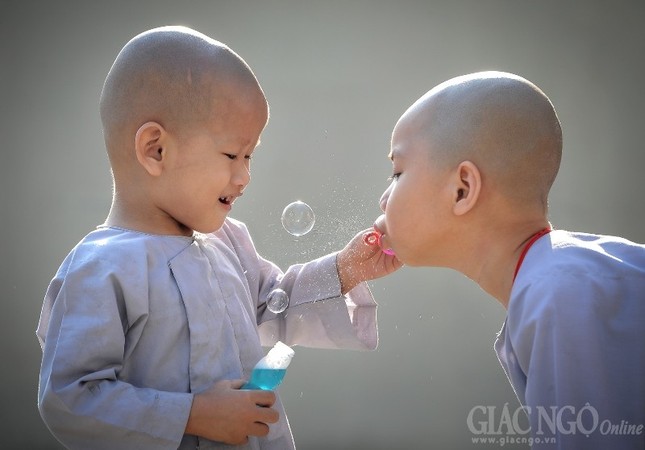 Thấy ánh sáng lóe lên từ những câu chuyện đời... ảnh 6 TUOI THO.jpg