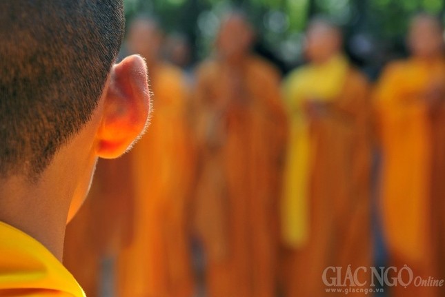 Thấy ánh sáng lóe lên từ những câu chuyện đời... ảnh 3 VONG PHAP.jpg