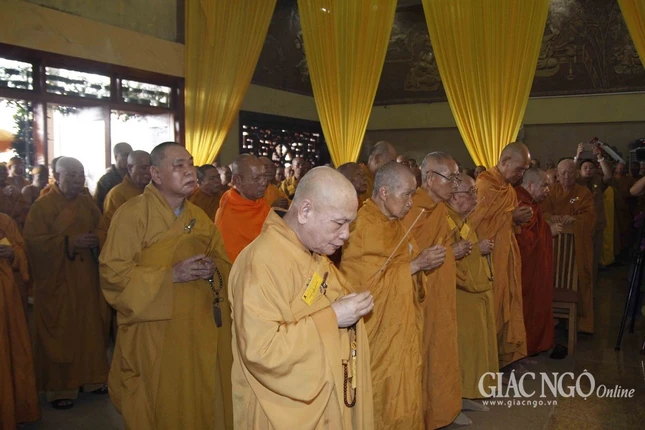 ANH VG (10).JPG