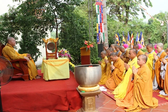 tquang 3.jpg