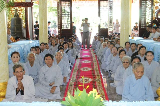 dong thap 5.jpg