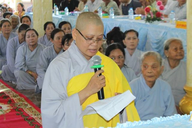 dong thap 8.jpg