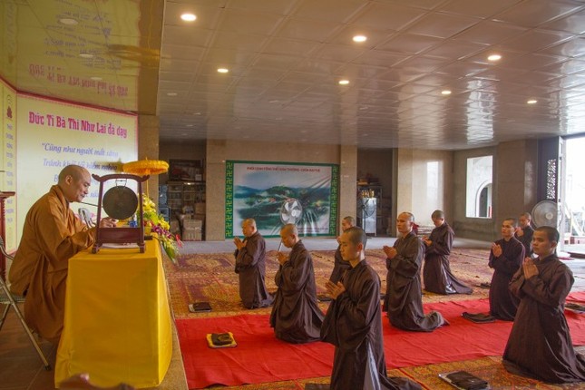 IMG_9865 (Small).JPG