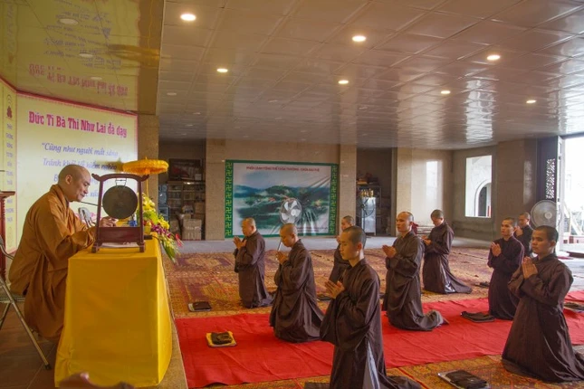 IMG_9865 (Small).JPG