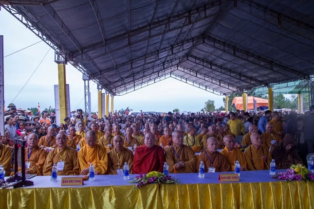 IMG_0736 (Small).jpg