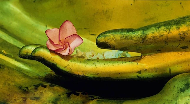 Con duong bat chanh.jpg