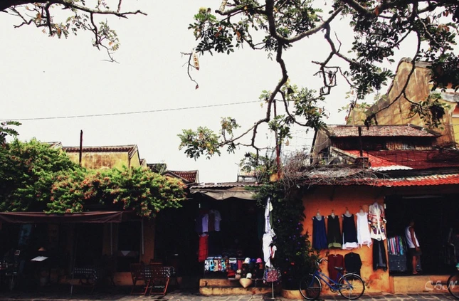 Thương người xứ Quảng ảnh 1 gocpho.jpg