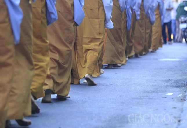 VG-TU NGHIEM (43).jpg