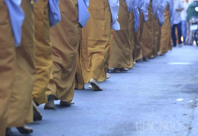 VG-TU NGHIEM (43).jpg