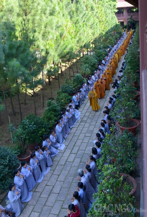 Co Phat khat thuc (10).JPG