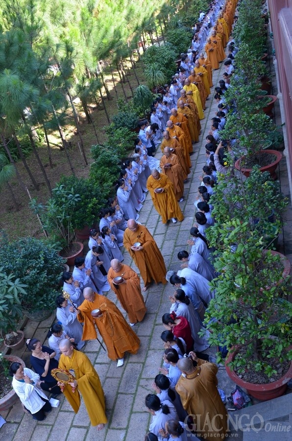 Co Phat khat thuc (11).JPG