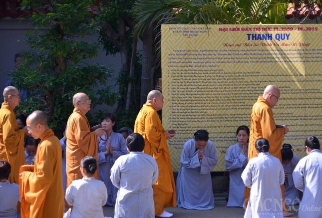 Co Phat khat thuc (13).JPG