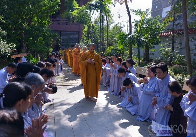 Co Phat khat thuc (14).JPG