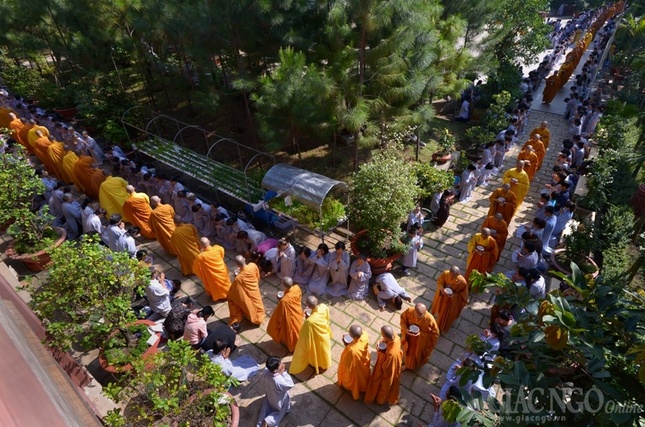 Co Phat khat thuc (16).JPG