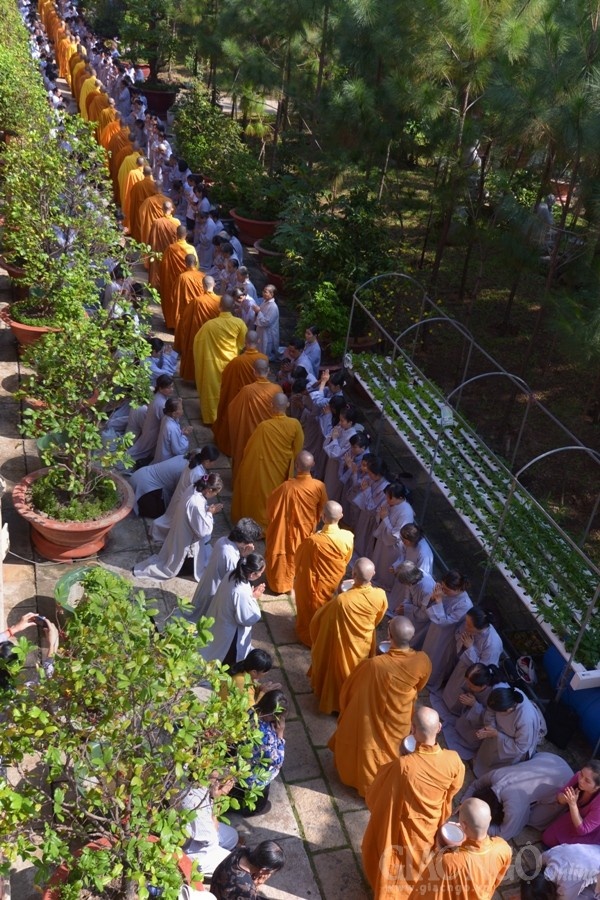 Co Phat khat thuc (18).JPG