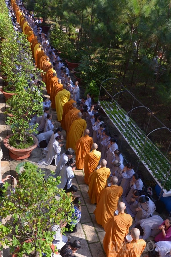 Co Phat khat thuc (18).JPG