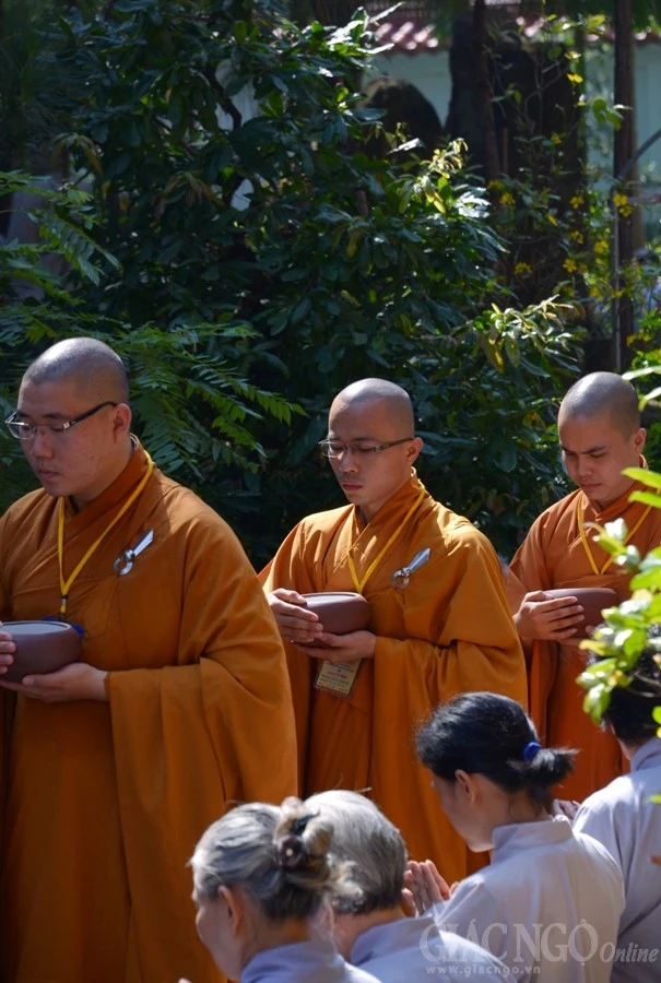 Co Phat khat thuc (21).JPG