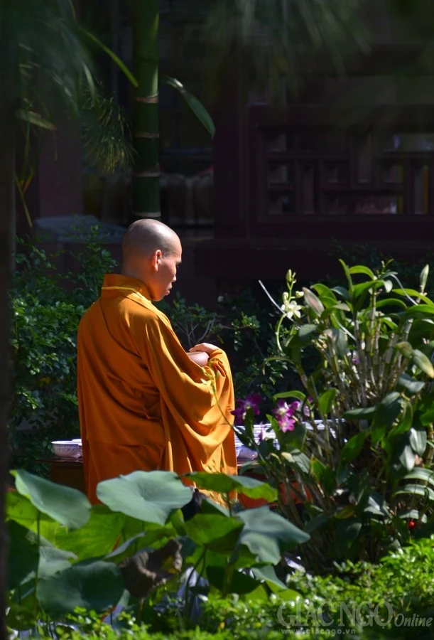 Co Phat khat thuc (22).JPG