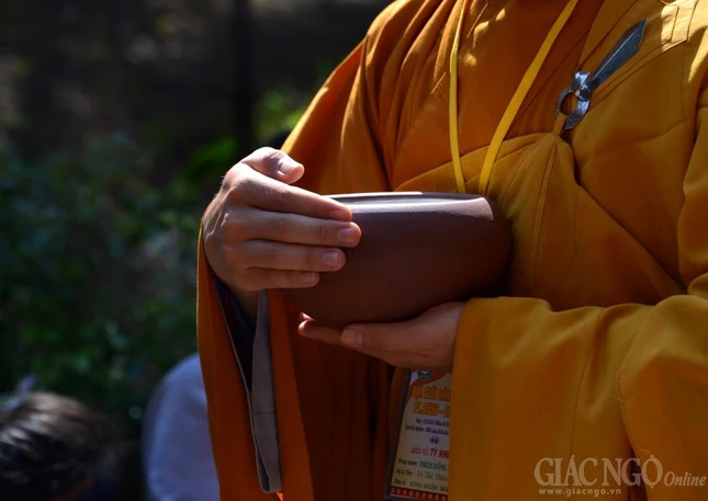 Co Phat khat thuc (23).JPG