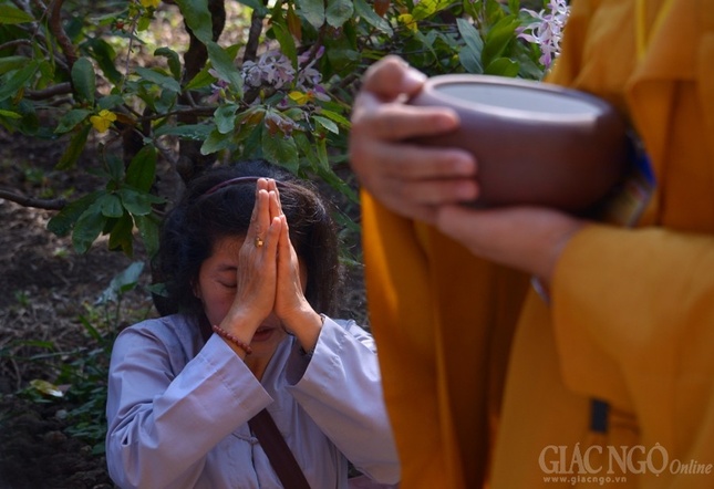 Co Phat khat thuc (24).JPG