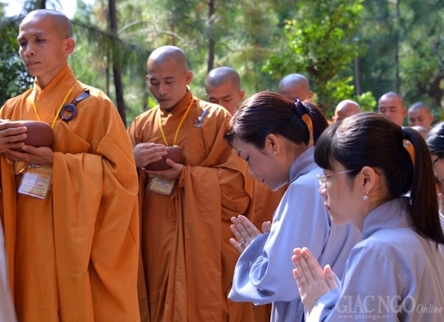 Co Phat khat thuc (25).JPG