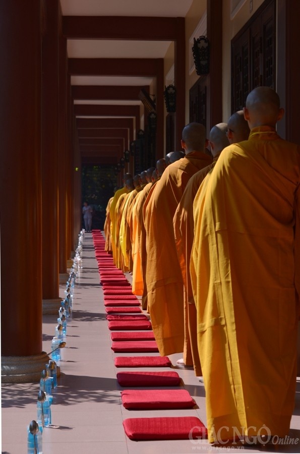 Co Phat khat thuc (26).JPG