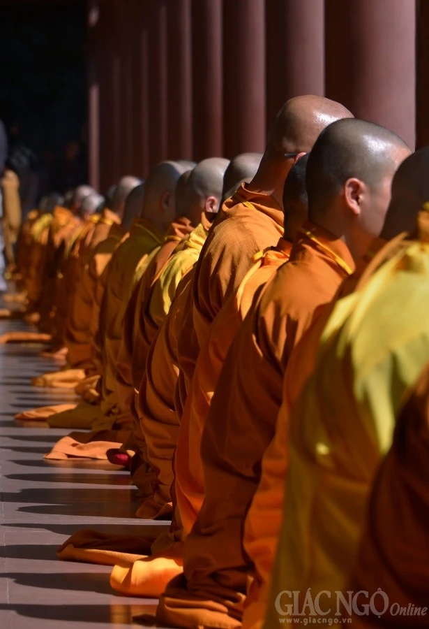 Co Phat khat thuc (28).JPG