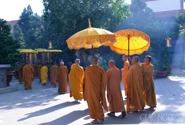 Co Phat khat thuc (8).JPG