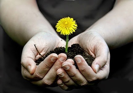 Truyện ngắn của Trầm Nguyên Ý Anh: Nhà từ thiện ảnh 1 chia se.jpg