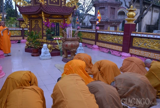 HT tao thap - ChucTet Thanh Uy (11).JPG