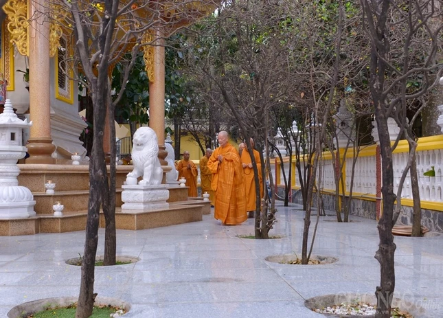 HT tao thap - ChucTet Thanh Uy (17).JPG