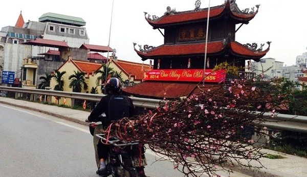 tren dung ve.JPG