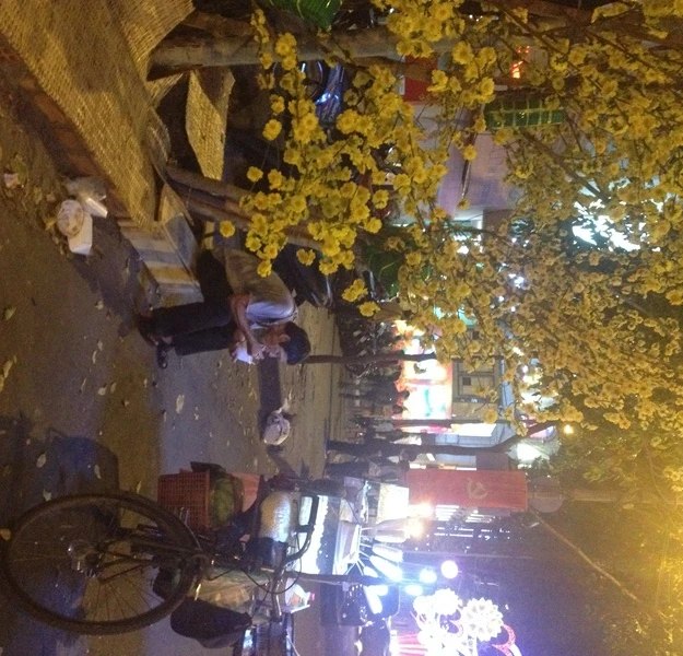 anh bai Ngo Tri Minh.JPG