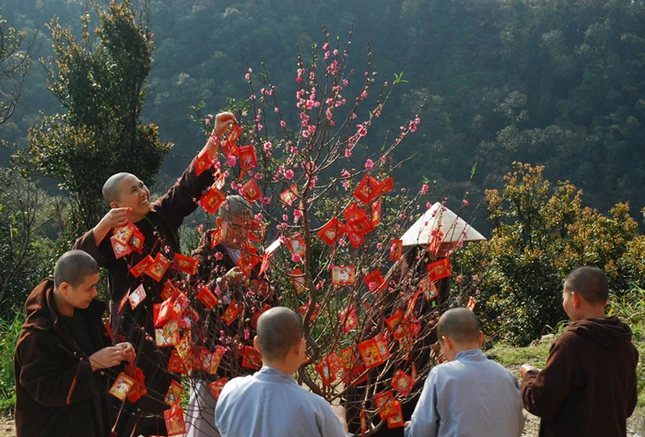 anh minh hoa bai Luu Dinh Long.jpeg