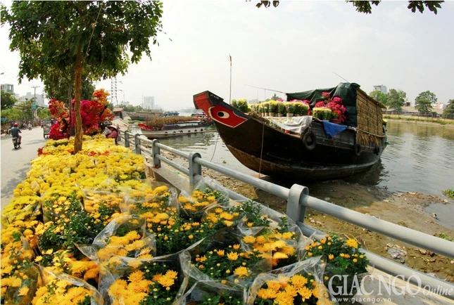 ANH Tet (2).JPG