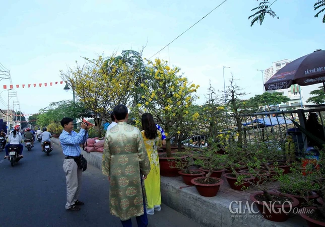 Chùm ảnh: Chợ hoa “Trên bến dưới thuyền” ảnh 5 IMG_4652.jpg