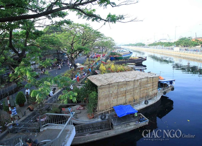 Chùm ảnh: Chợ hoa “Trên bến dưới thuyền” ảnh 7 IMG_4669.jpg