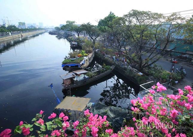 Chùm ảnh: Chợ hoa “Trên bến dưới thuyền” ảnh 8 IMG_4674.jpg