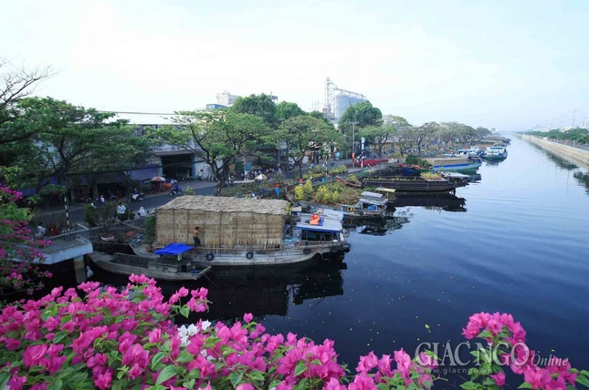 Chùm ảnh: Chợ hoa “Trên bến dưới thuyền” ảnh 9 IMG_4687.jpg
