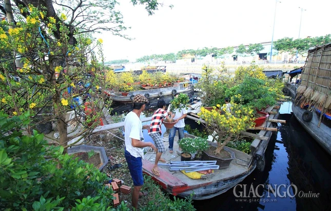Chùm ảnh: Chợ hoa “Trên bến dưới thuyền” ảnh 10 IMG_4697.jpg
