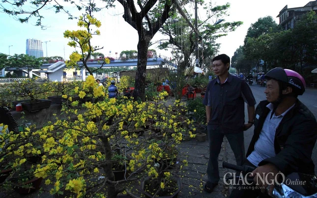 Chùm ảnh: Chợ hoa “Trên bến dưới thuyền” ảnh 14 IMG_4709.jpg